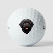 Balles De Golf Labradoodle Chien noir (Recto)