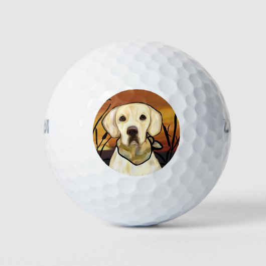 BALLES DE GOLF LABRADOR JAUNE (Devant)