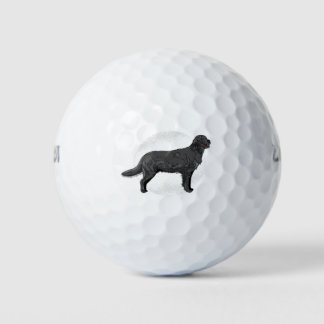 Balles De Golf Labrador noir - Chien de chasse