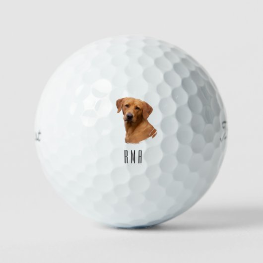 Balles De Golf Labrador Retriever Jaune (Recto)