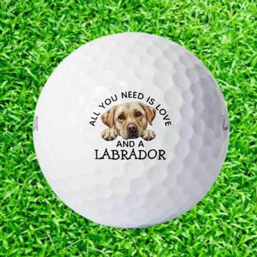 Balles De Golf Labradors et