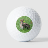 Balles De Golf Lapin (Recto)