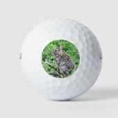 Balles De Golf Lapin (Devant)