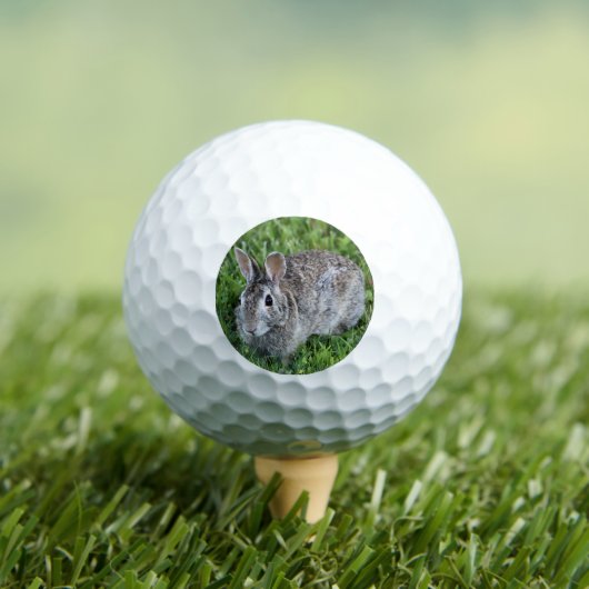 Balles De Golf lapin joyeux (T-shirt Insitu)