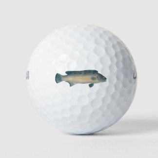Balles De Golf Lateral Striped Pike Cichlid