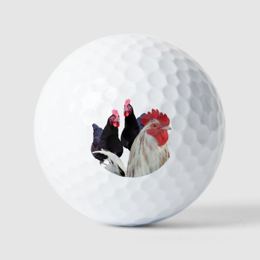 Balles De Golf "Le coq blanc et ses poules noires" (Recto)