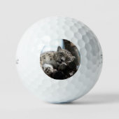 Balles De Golf Leopard 002 (Recto)