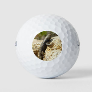 Balles De Golf Lézard épineux à dos jaune à Joshua Tree