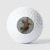Balles De Golf Lézard sur ciment (Recto)