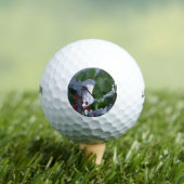 Balles De Golf libellule de Spiketball (T-shirt Insitu)