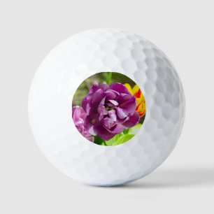 Balles De Golf Lilac tulipes sur une journée ensoleillée