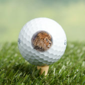 Balles De Golf Lion (T-shirt Insitu)