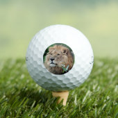 Balles De Golf Lion 021 (T-shirt Insitu)