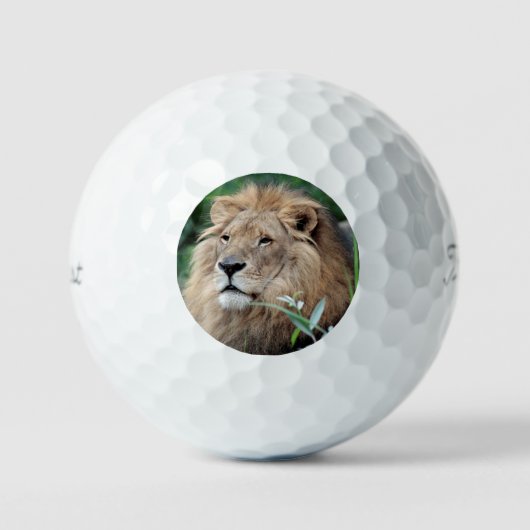 Balles De Golf Lion 021 (Recto)