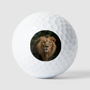 Balles De Golf Lion dans les ombres