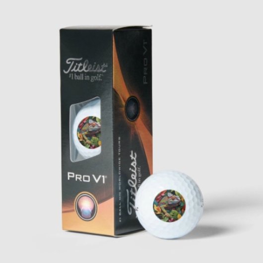 Balles De Golf Lizard Leaves & Couleur
