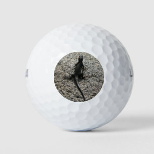 Balles De Golf Lizard noir