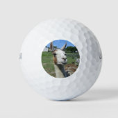 Balles De Golf Llama (Devant)