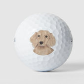 Balles De Golf Long Haired Anglais Dachshund (Devant)