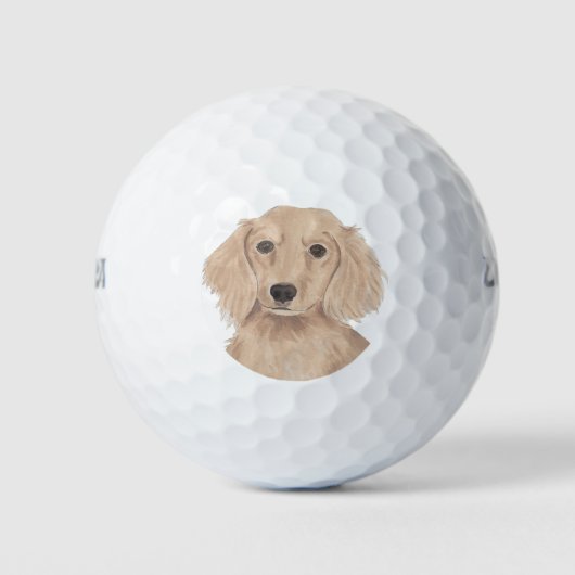 Balles De Golf Long Haired Anglais Dachshund (Devant)