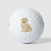 Balles De Golf Long Haired Cream Dachshund (Devant)