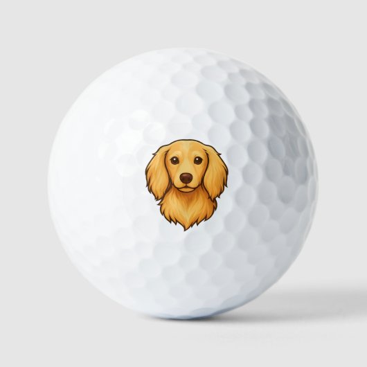 Balles de Golf Longhair Doxie (Recto)