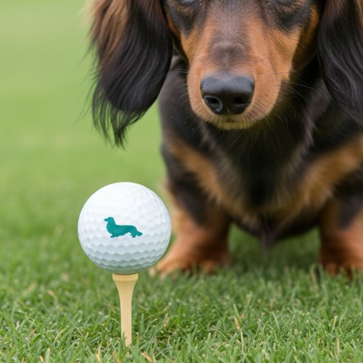 Balles De Golf Longue Cheveux Dachshund Turquoise Golfer Cadeau