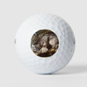 Balles De Golf Lynx Canada (Devant)