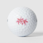 Balles De Golf Lys Stargazer Rose (Devant)