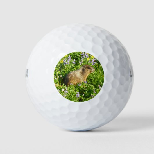 Balles De Golf Marmot dans le Mont Rainier Fleurs sauvages (Devant)