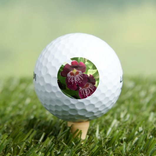 Balles De Golf Maroon Orchids II (T-shirt Insitu)
