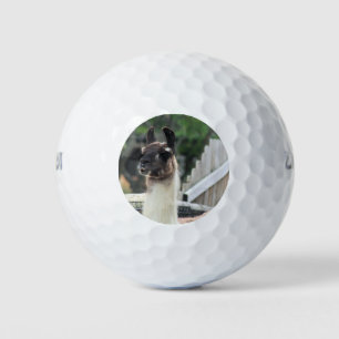 Balles De Golf Méfiez-vous du lama !