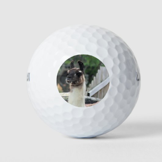 Balles De Golf Méfiez-vous du lama ! (Devant)