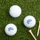 Balles De Golf Merveille d'hiver (Herbe in situ)