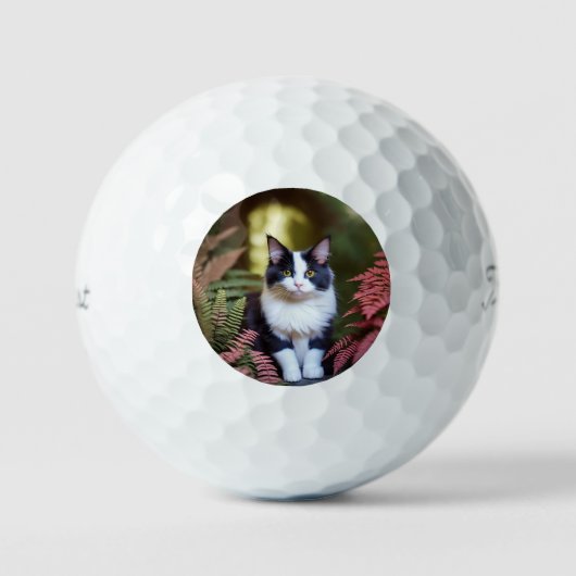 Balles De Golf Milly Le Chat Ragdoll, Titleist Golf Balls (Recto)