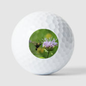 Balles De Golf Mois des colibris (Recto)
