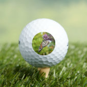 Balles De Golf Monarque sur Buddleia (T-shirt Insitu)