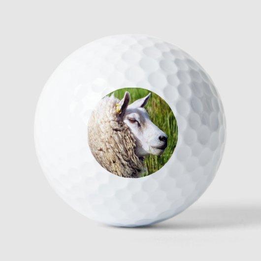 BALLES DE GOLF MOQUETTE (Recto)