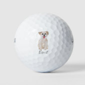Balles De Golf Morkie Dog Golf Balls (Devant)