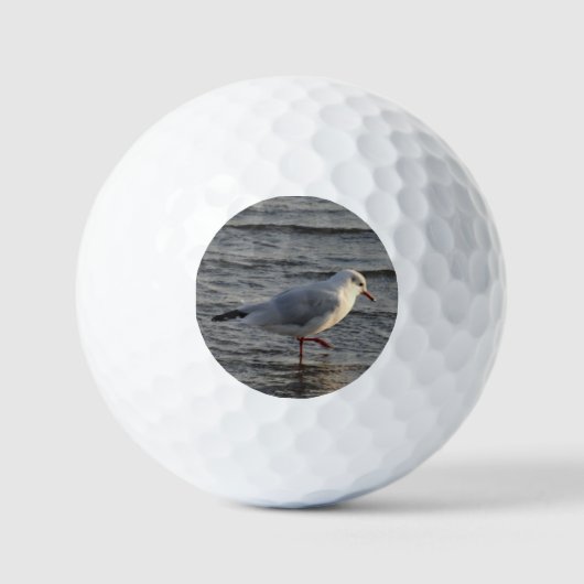 Balles De Golf Mouette mignonne (Recto)