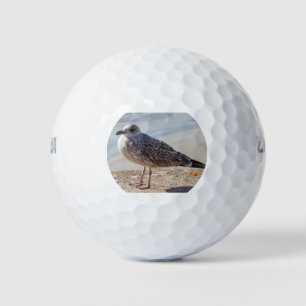 Balles De Golf Mouette sur un mur