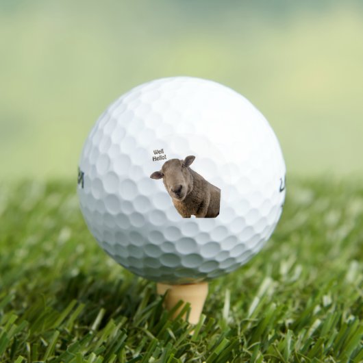 Balles De Golf Mouton (T-shirt Insitu)