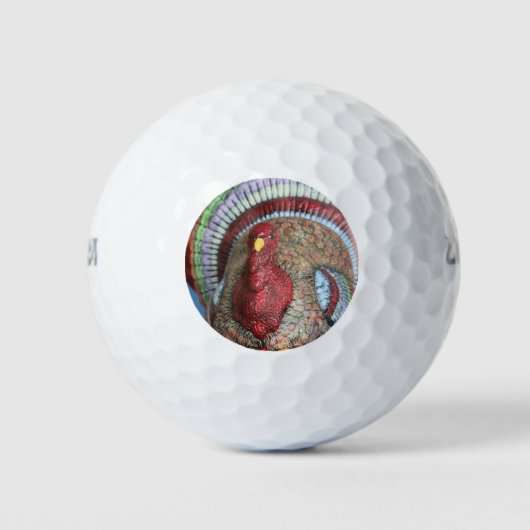 Balles De Golf Ne pas frotter cette dinde (Devant)