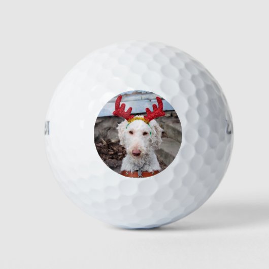 Balles De Golf Noël Ollie (Devant)