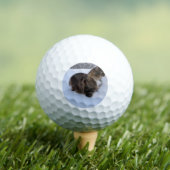 Balles De Golf norwegian forest cat in snow (T-shirt Insitu)
