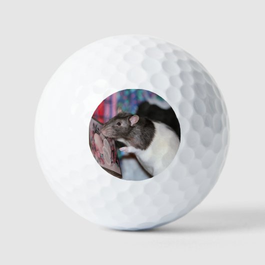 Balles De Golf Nosey (Recto)