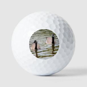Balles De Golf Oies