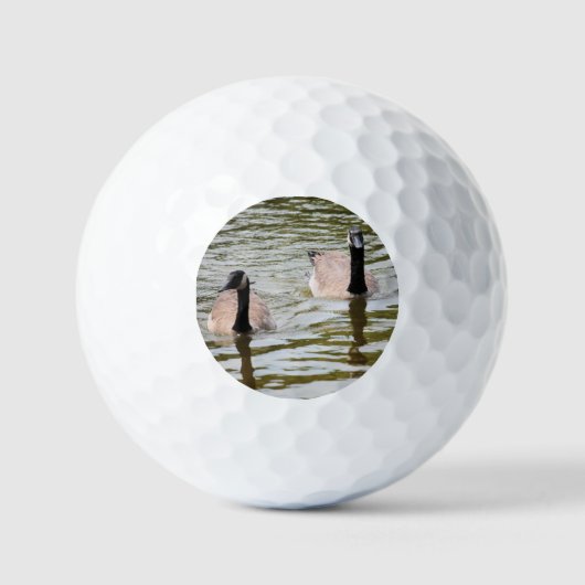 Balles De Golf Oies (Recto)