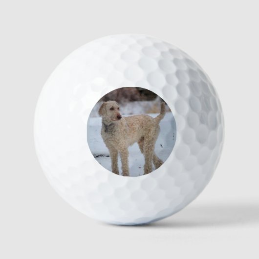 Balles De Golf Ollie (Recto)