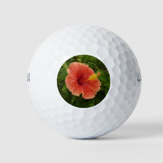 Balles De Golf Orange Hibiscus Fleur Tropical Floral (Devant)